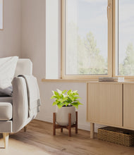 Load image into Gallery viewer, Eternal Gray stand:walnut