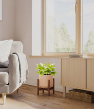 Load image into Gallery viewer, Gentle Pink stand:walnut