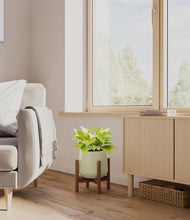 Load image into Gallery viewer, Turquoise stand:walnut