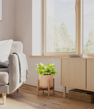 Load image into Gallery viewer, Gentle Pink stand:bamboo