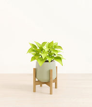 Load image into Gallery viewer, Turquoise stand:bamboo