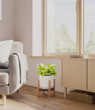 Load image into Gallery viewer, -