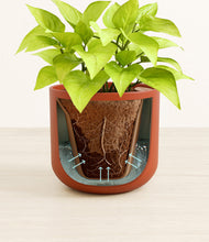 Load image into Gallery viewer, Earth Red stand:all