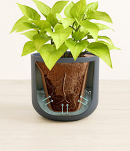 Load image into Gallery viewer, Iron Gray stand:all