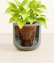 Load image into Gallery viewer, Sage Green stand:all