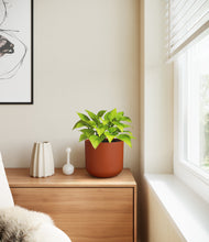 Load image into Gallery viewer, Earth Red