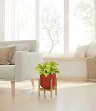 Load image into Gallery viewer, Earth Red stand:bamboo