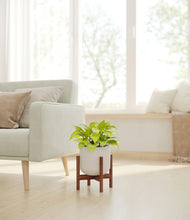 Load image into Gallery viewer, Natural Bamboo stand:walnut