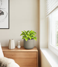 Load image into Gallery viewer, Sage Green