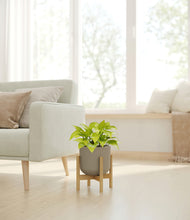 Load image into Gallery viewer, Sage Green stand:bamboo