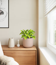 Load image into Gallery viewer, Sandy Pink