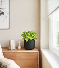 Load image into Gallery viewer, Stone Black