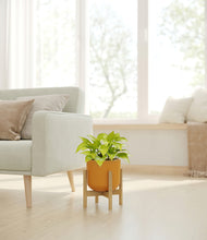 Load image into Gallery viewer, Sunset Orange stand:bamboo