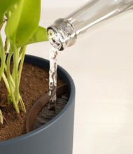 Load image into Gallery viewer, Iron Gray stand:all