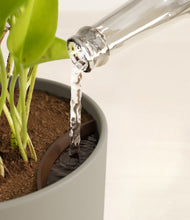 Load image into Gallery viewer, Sage Green stand:all