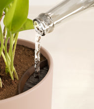 Load image into Gallery viewer, Sandy Pink stand:all