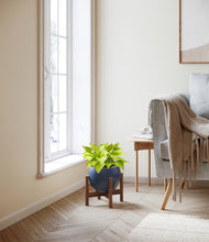 Load image into Gallery viewer, Deep Navy stand:walnut