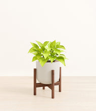 Load image into Gallery viewer, Natural Bamboo stand:walnut