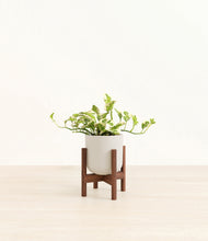 Load image into Gallery viewer, Natural Bamboo stand:walnut