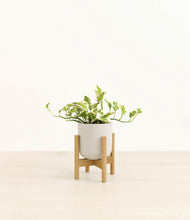 Load image into Gallery viewer, Natural Bamboo stand:bamboo