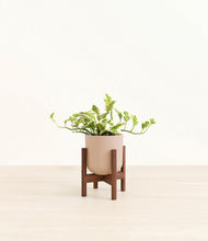 Load image into Gallery viewer, Sandy Pink stand:walnut