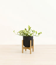 Load image into Gallery viewer, Stone Black stand:bamboo