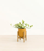 Load image into Gallery viewer, Sunset Orange stand:bamboo