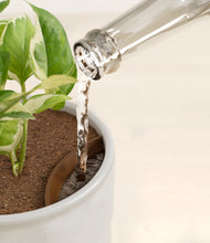 Load image into Gallery viewer, Hammered Ivory stand:all