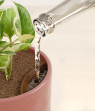 Load image into Gallery viewer, Hammered Rose Pink stand:all