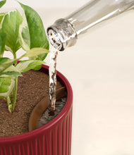 Load image into Gallery viewer, Striped Cherry Red stand:all