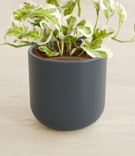 Load image into Gallery viewer, Iron Gray stand:all