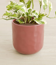 Load image into Gallery viewer, Hammered Rose Pink stand:all