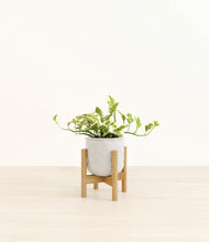 Load image into Gallery viewer, Hammered Ivory stand:bamboo