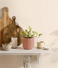 Load image into Gallery viewer, Striped Rose Pink