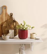 Load image into Gallery viewer, Striped Cherry Red