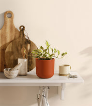 Load image into Gallery viewer, Earth Red