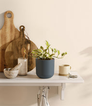 Load image into Gallery viewer, Iron Gray