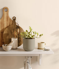 Load image into Gallery viewer, Sage Green