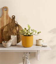 Load image into Gallery viewer, Sunset Orange