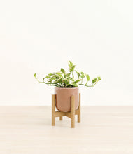 Load image into Gallery viewer, Hammered Peach Pink stand:bamboo
