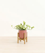 Load image into Gallery viewer, Hammered Rose Pink stand:bamboo