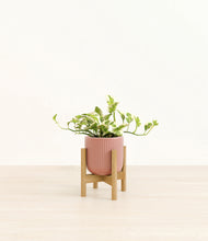Load image into Gallery viewer, Striped Rose Pink stand:bamboo