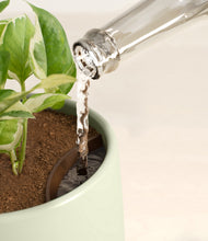 Load image into Gallery viewer, Turquoise stand:all