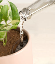 Load image into Gallery viewer, Gentle Pink stand:all