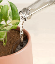 Load image into Gallery viewer, Calm Rose stand:all