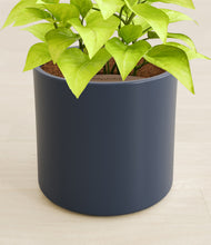 Load image into Gallery viewer, Deep Navy stand:all