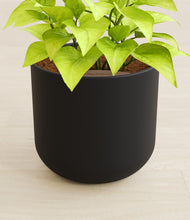 Load image into Gallery viewer, Stone Black stand:all