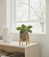 Load image into Gallery viewer, Olive stand:bamboo
