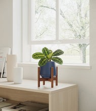 Load image into Gallery viewer, Deep Navy stand:walnut