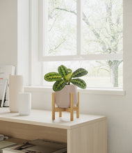 Load image into Gallery viewer, Eternal Gray stand:bamboo